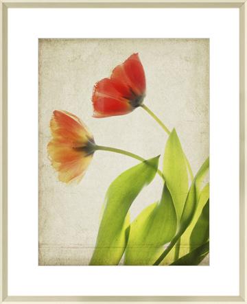 Parchment Flowers VI