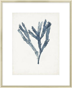 Biella Art framed prints melbourne