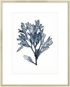 Biella Art framed prints melbourne