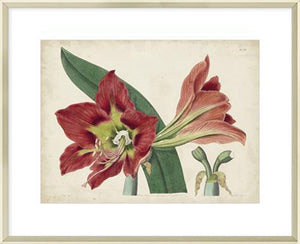 Biella Art framed prints melbourne