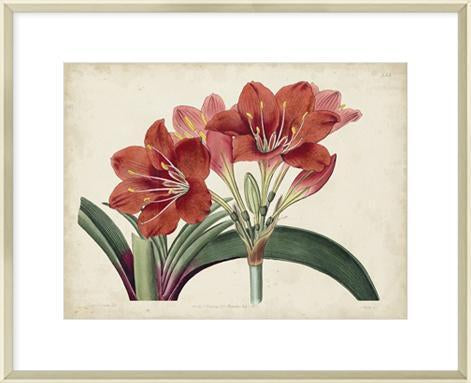 Biella Art framed prints melbourne