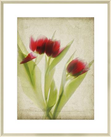 Parchment Flowers I