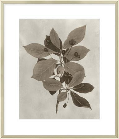 Biella Art framed prints melbourne