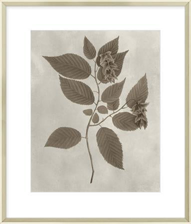 Biella Art framed prints melbourne