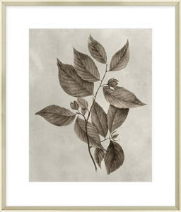 Biella Art framed prints melbourne