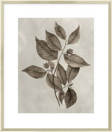 Biella Art framed prints melbourne