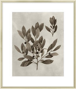 Biella Art framed prints melbourne