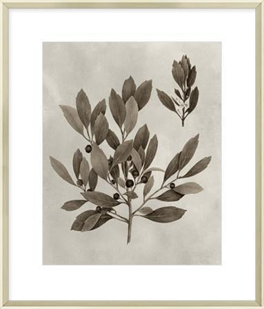 Biella Art framed prints melbourne