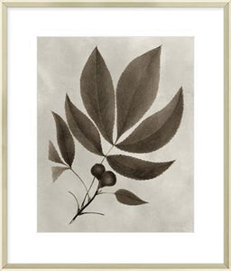 Biella Art framed prints melbourne