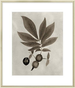 Biella Art framed prints melbourne