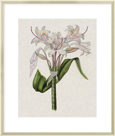 Biella Art framed prints melbourne