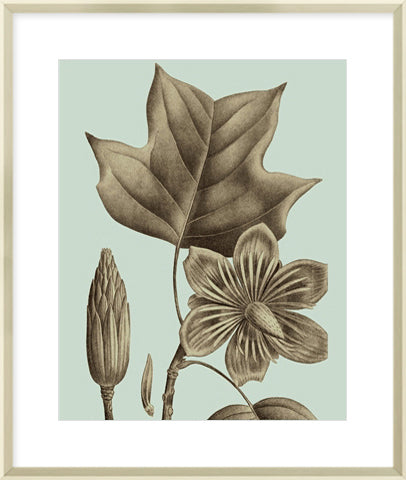Biella Art framed prints melbourne
