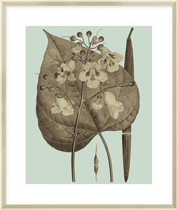 Biella Art framed prints melbourne