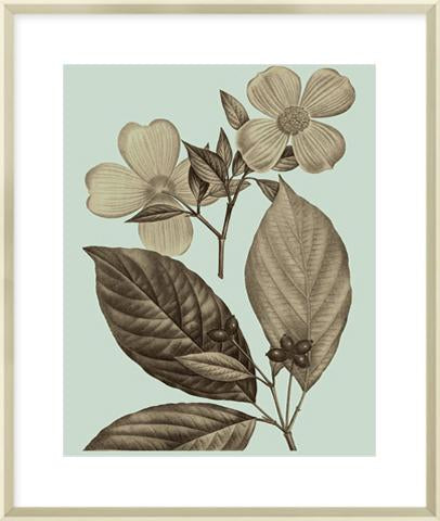 Flowering Trees III