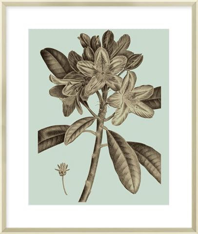 Flowering Trees IV