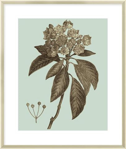Flowering Trees V