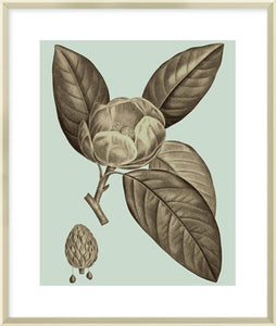 Biella Art framed prints melbourne