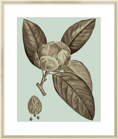 Biella Art framed prints melbourne