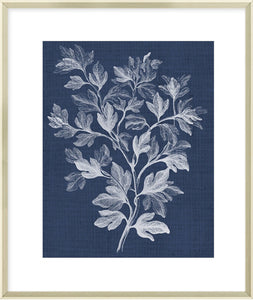 Biella Art framed prints melbourne
