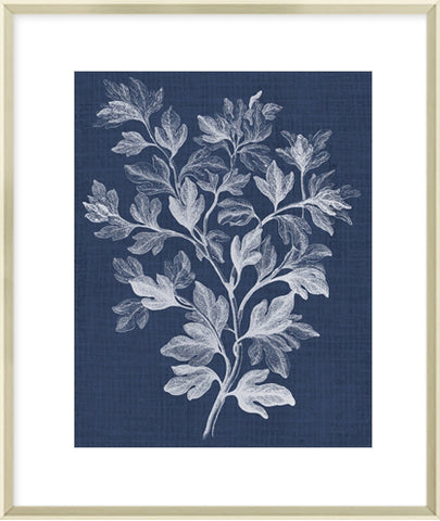 Biella Art framed prints melbourne