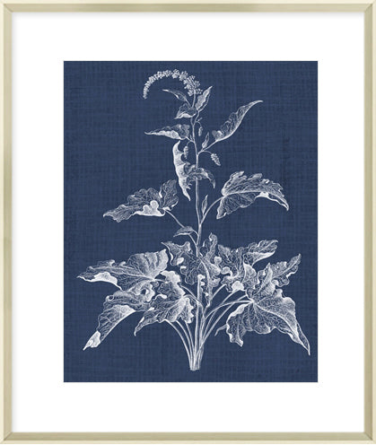 Biella Art framed prints melbourne