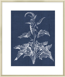 Biella Art framed prints melbourne