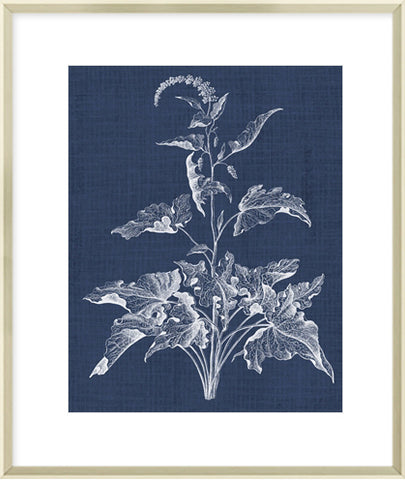 Biella Art framed prints melbourne