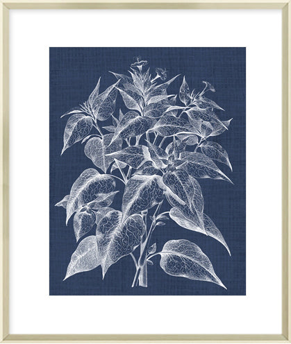 Biella Art framed prints melbourne