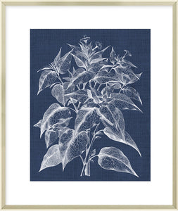 Biella Art framed prints melbourne