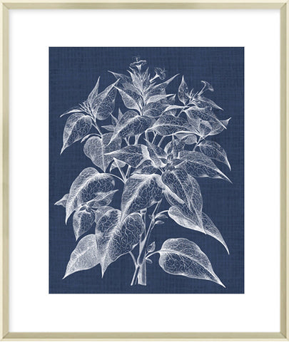 Biella Art framed prints melbourne