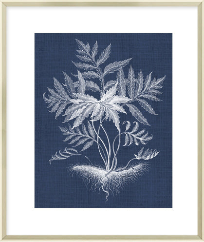 Biella Art framed prints melbourne