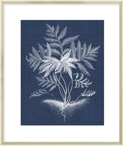 Biella Art framed prints melbourne