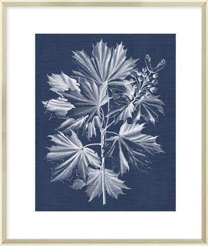 Biella Art framed prints melbourne