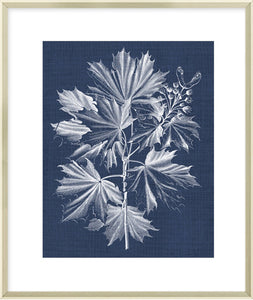 Biella Art framed prints melbourne