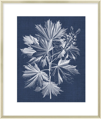 Biella Art framed prints melbourne