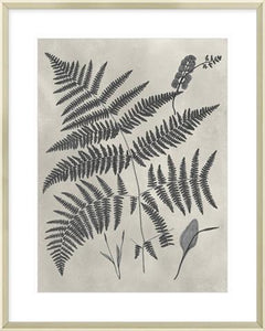 Biella Art framed prints melbourne