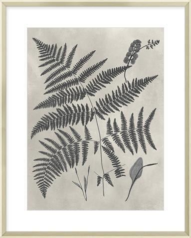 Biella Art framed prints melbourne