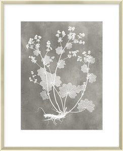 Biella Art framed prints melbourne