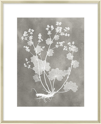 Biella Art framed prints melbourne