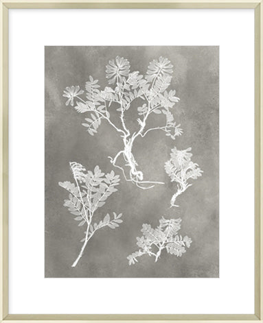 Biella Art framed prints melbourne