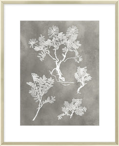 Biella Art framed prints melbourne