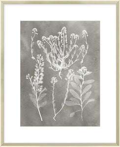 Biella Art framed prints melbourne