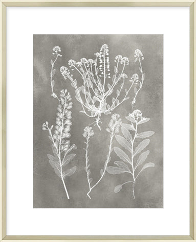 Biella Art framed prints melbourne