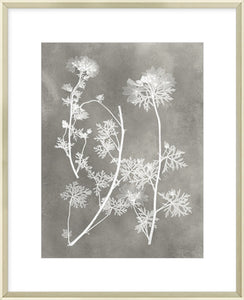 Biella Art framed prints melbourne