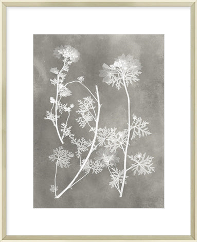 Biella Art framed prints melbourne