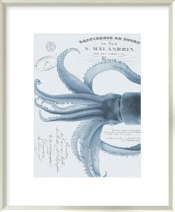 Sea Creatures - Amalfi