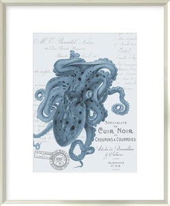Sea Creatures - Salerno