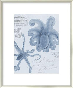 Sea Creatures - Positano