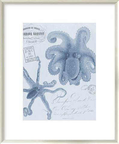 Sea Creatures - Positano