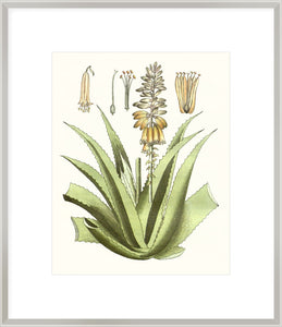 Biella Art framed prints melbourne